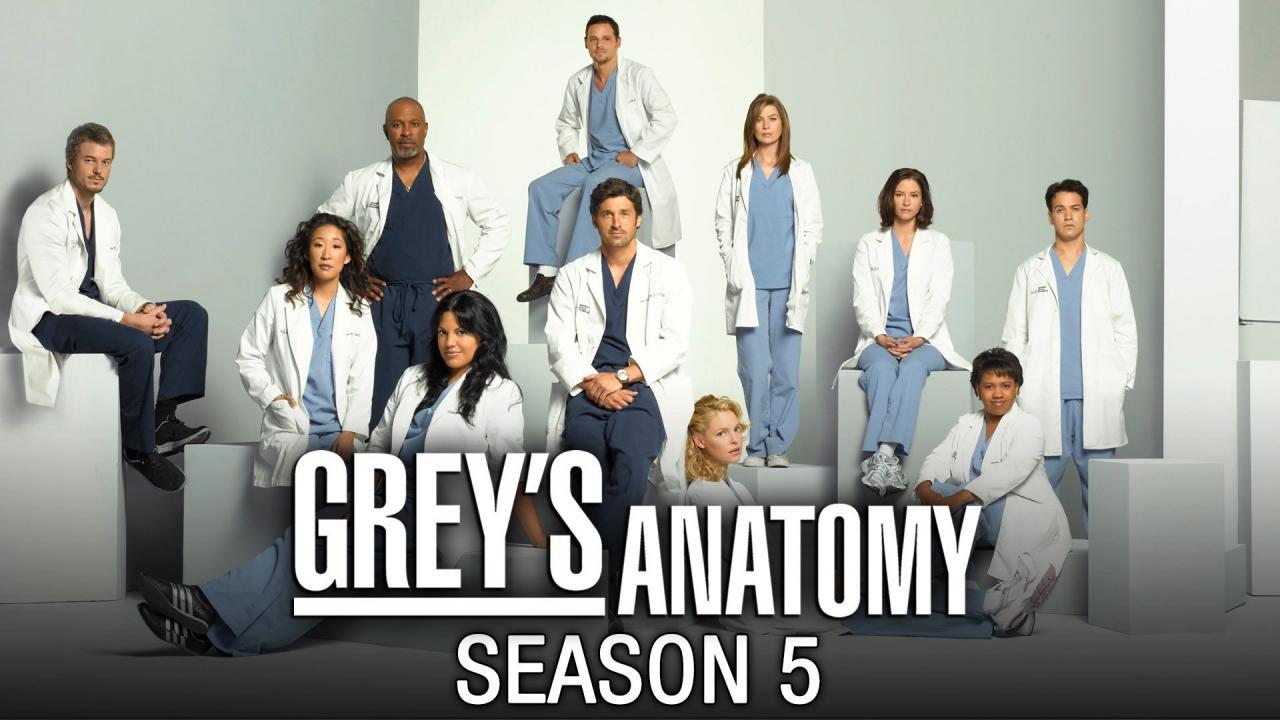 مشاهدة مسلسل Grey's Anatomy الموسم الخامس الحلقة 1 مترجمة ماي سيما