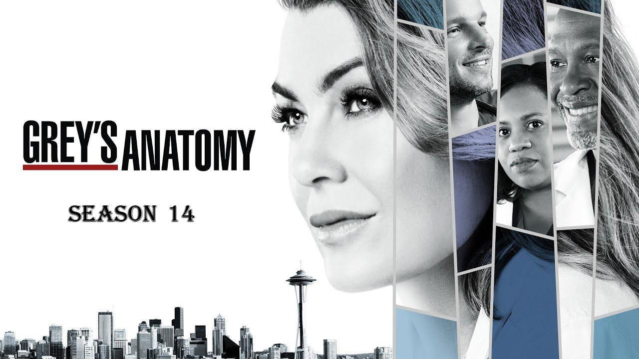 مشاهدة مسلسل Grey's Anatomy الموسم 14 الحلقة 1 مترجمة ماي سيما