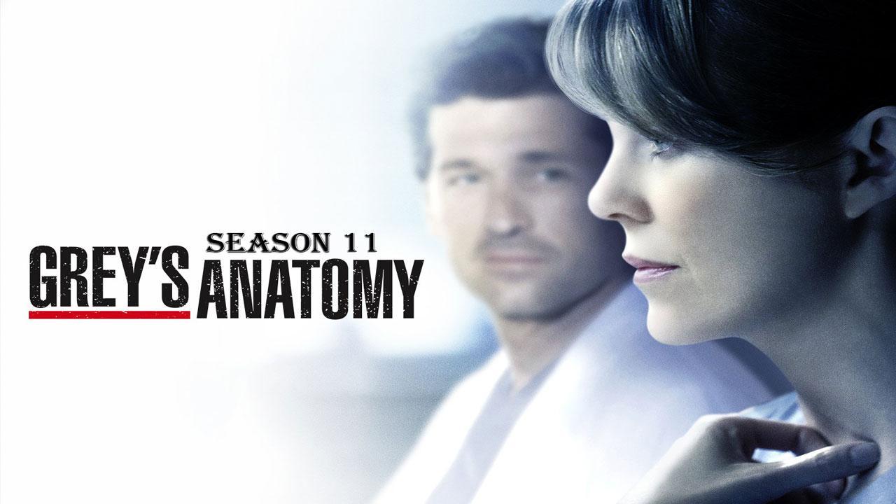 مشاهدة مسلسل Grey's Anatomy الموسم 11 الحلقة 1 مترجمة ماي سيما