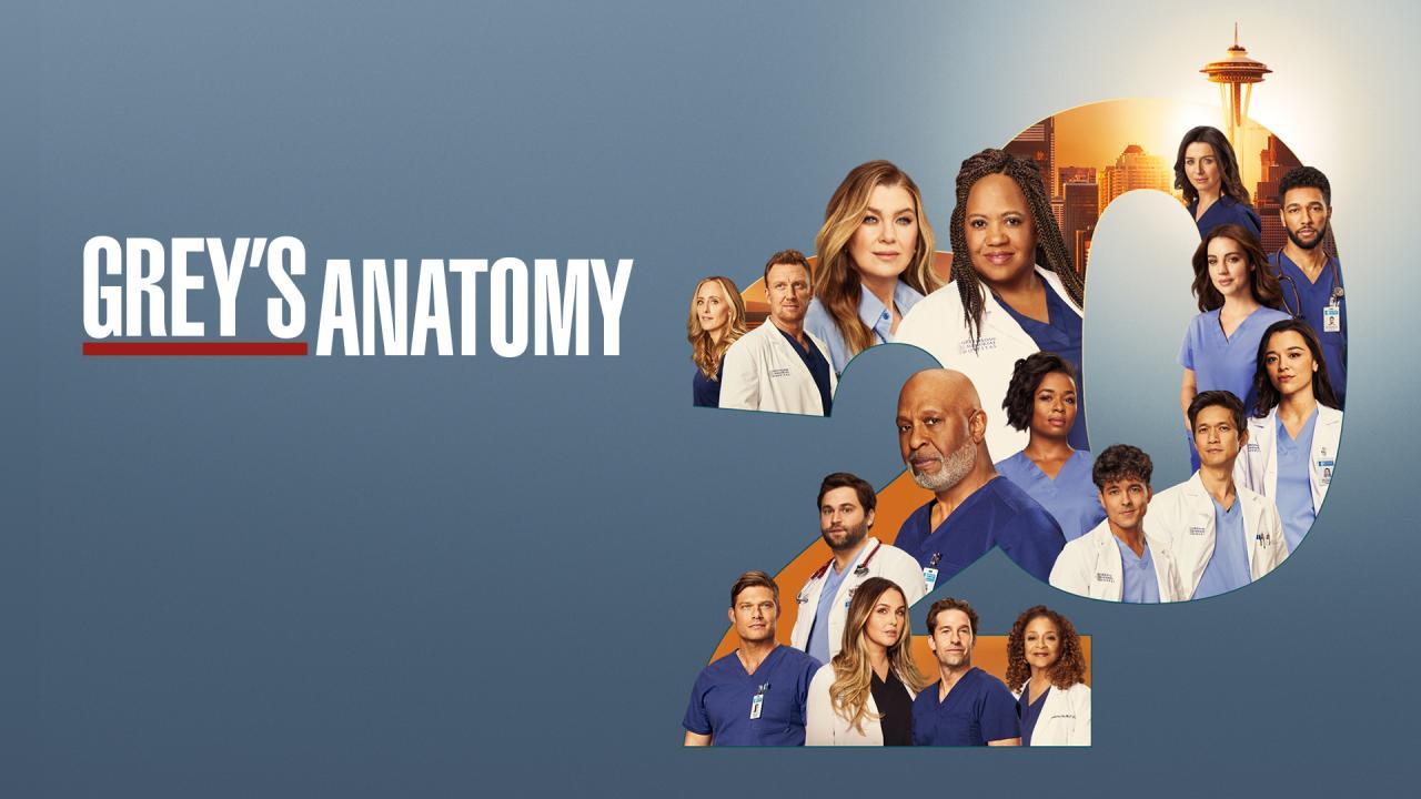 مشاهدة مسلسل Grey's Anatomy الموسم 20 الحلقة 1 مترجمة ماي سيما
