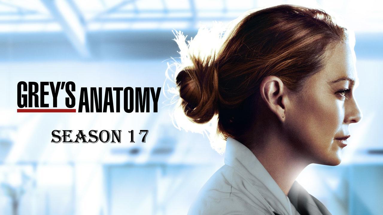 مشاهدة مسلسل Grey's Anatomy الموسم 17 الحلقة 1 مترجمة ماي سيما